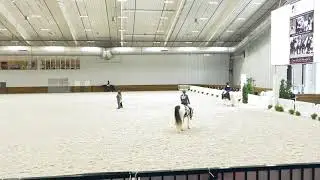 Lucky&rsquo;s first rail class Ocala Feather Horse Classic @ WEC
