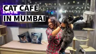 VISITING THE ONLY CAT CAFE IN MUMBAI | Kit Cat Cafe, Versova | Trishit Saha