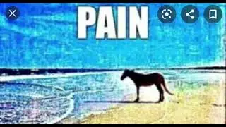 Bayern are 2-0 down to Mainz