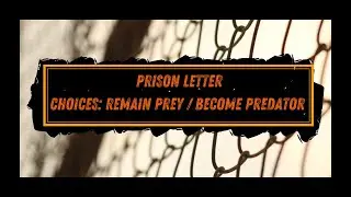 (11) Prisoner Letter / Young Naive Kid Thrown To The Wolves / Get Tough ~ Get Violent ~ Or PC Up