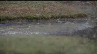 Township to help with retention pond, will assess neighborhood
