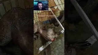 Припять кинотеатр Прометей #игры #пк #стрим #gaming #shorts #games #ti̇ktok #видеотоп #сталкер