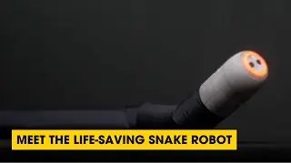 Meet The Life-saving Snake Robot