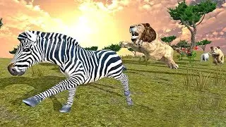 Furious Lion Family Sim (by Tap 2 Sim) Android Gameplay [HD]