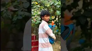 Matric exam😂#shortsvideo #short#viralshorts#viralshortvideo#youtubeshorts#sambalpuricomedy