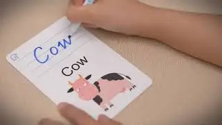 Mideer Write & Wipe learning cards
