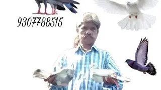 15.10.2022 all types of jack cena available from Santosh kaka         part 2#trending#tutorial#like