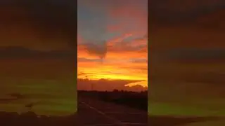 #viral #cute #youtube #youtubeshorts #love #sunset #sun #sunrise #beautiful #nature #yellow #colors