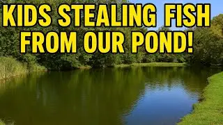 Kids STEALING the FISH from our POND?!?!