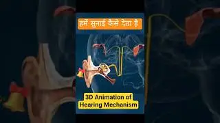 How do we Hear ?? हमें आवाज कैसे सुनाई देती है #shorts #3danimation #trendingshorts