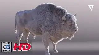 CGI & VFX Breakdowns: 