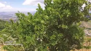 Enna LA ROCCA DELLA DEA CERERE