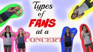 Types of Fans at Concerts