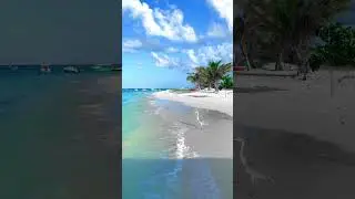 White sandy beach in Maldives #maldives #beach #shorts