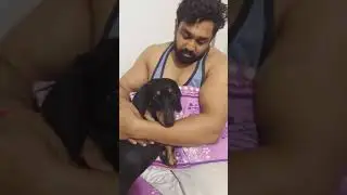 Dhruva Sarja playing with Dog #dhruvasarja #martin #shorts