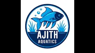 Introduction to Ajith Aquatics | Intro video