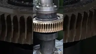 Worm Wheel Gear Cutting #machine#gearshop #gearcutting #gearmanufacturing #mechanical#gearproduction