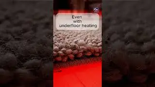 💨 Is the air in your home clean? Think again! 🏡 | Wool India | Heritage & Innovation in Wool