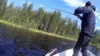 Lappland Pro Natur 2015 by Jean-Marc Brison
