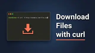 Download a ZIP File Using the curl Command