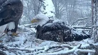 Decorah Eagles Mom and Dad Decorah Are Priceless lol 4/8/18