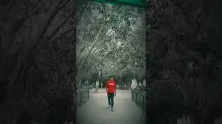 vere ietas ting video