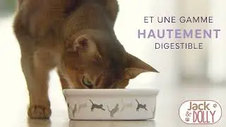 Teaser Croquettes Jack et Dolly pour Chat gamme fonctionnelle Peptides+