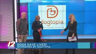 February is pet adoption month