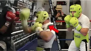 Canelo Alvarez Unleashes Inside Sparring Secrets with Teofimo Lopez Before Shakur Stevenson Showdown