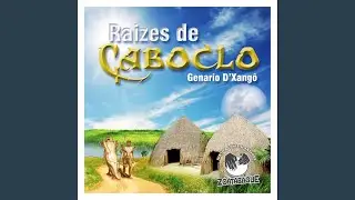 Choveu e Alagou