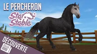 ACHAT DU PERCHERON GRIS FONCÉ | Star Stable - SSO