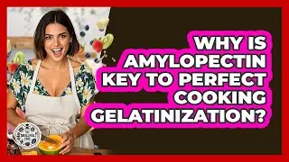 Why Is Amylopectin Key To Perfect Cooking Gelatinization? - The Skillful Chef