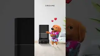 Dreame X40 Ultra: Pup-Approved Performance