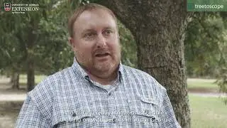 Treetoscope Pecan Research Testimonial
