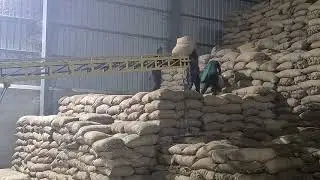 Bag Stacker Conveyor