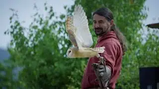 Parco Falconeria e Spettacoli dal vivo Acrobati del Sole