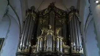 Carlos J. Fernandez Bollo - Organ Bachelor Recital