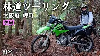 【KLX250 林道ツーリング】トコトコのんびり林道散歩