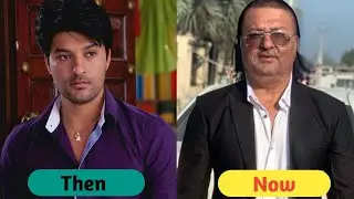 Diya Aur Baati Hum Seriyal Star Cast Transformation Then and Now 2025#diyaaurbaatihum 