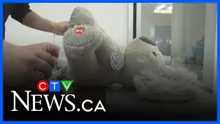 'Hacking' toys for children with disabilities