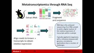 Metatranscriptomics