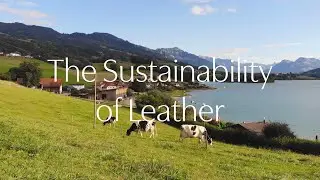 The Sustainability of Leather