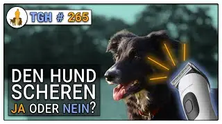 Hund scheren ja oder nein? Vor- und Nachteile abgew&auml;gt - TGH 265 - Hund trimmen, Fellpflege Hund