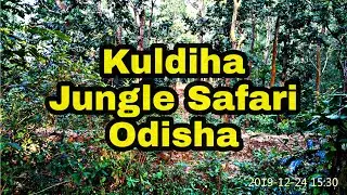 Kuldiha Jungle Safari II Rissia Nature Camp II Jorachua II Kuldiha Wildlife Sanctuary .