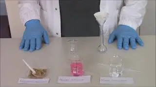 Estrazione di lipidi da matrici alimentari