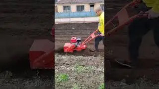 Small household multifunctional micro-tillage machine weeding artifact#agriculturalmechanizati