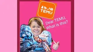 @temu HAUL. HEADLESS OWL?? #haul #temu