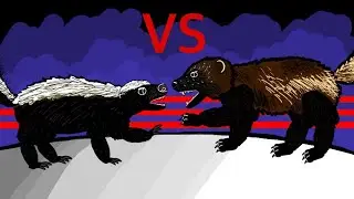WOLVERINE vs HONEY BADGER!!!
