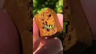 Renew Your Life: Bee Bread for a Healthier You! 💪🍯