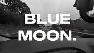 Wavey. - Blue Moon (ProdBy. @eeryskies) [Official Video]